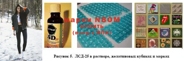 сатива Беломорск