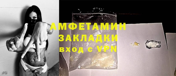 сатива Беломорск