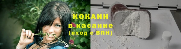 сатива Беломорск