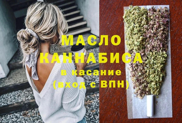 сатива Беломорск