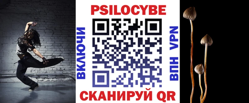Купить  Гаврилов-Ям  Псилоцибиновые грибы Magic Shrooms 